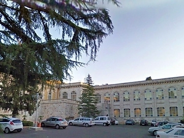 Varicosity sul posto intimo a gravidanza di una fotografia