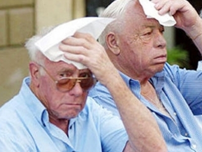 ADPec (Assistenza Domiciliare Programmata Temporanea emergenza calore)